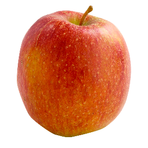 Domaine-darmandieu-variete-pomme-Brookfield Domaine Darmandieu, pomme Brookfield en vente et à cueillir