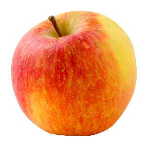 Domaine-darmandieu-variete-pomme-Pinova Domaine Darmandieu, pomme Daly class en vente et à cueillir
