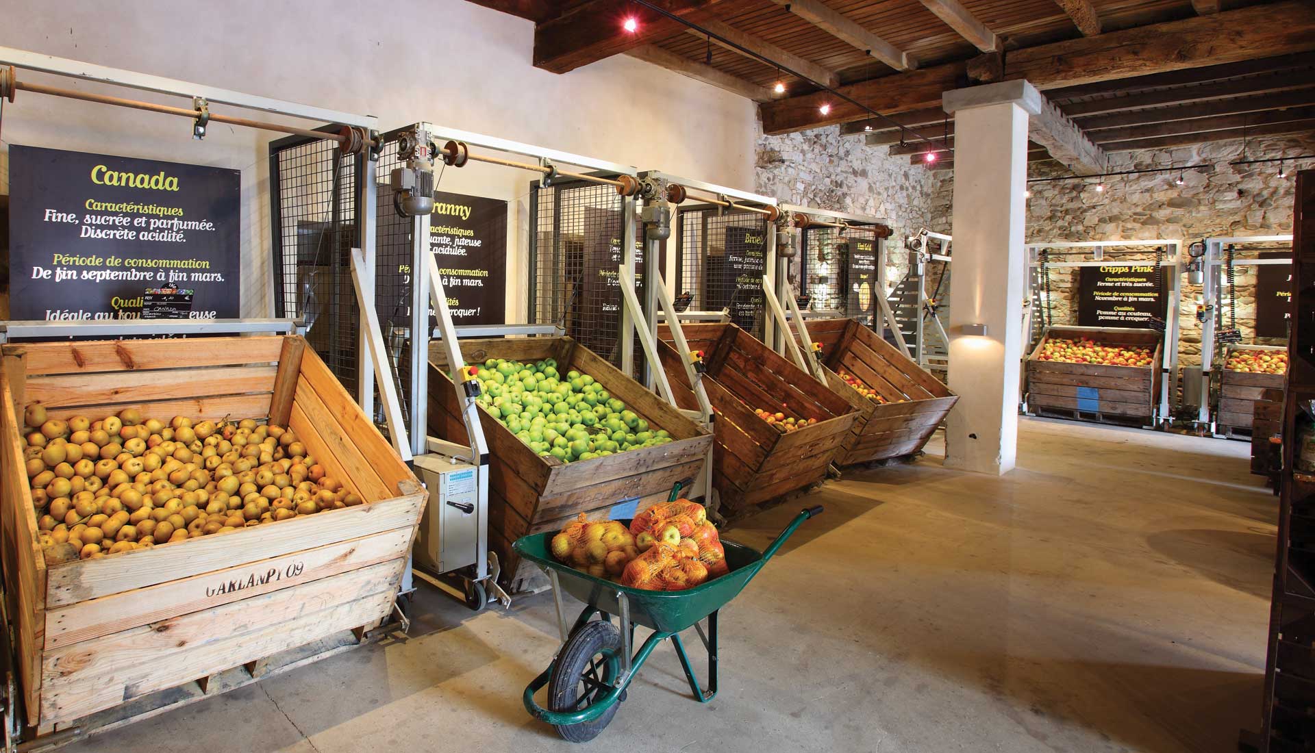 Domaine Darmandieu, la boutique du domaine
